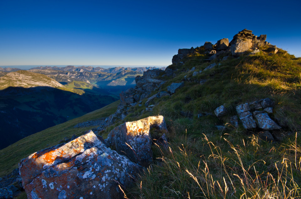 Hohniesen-Gipfel