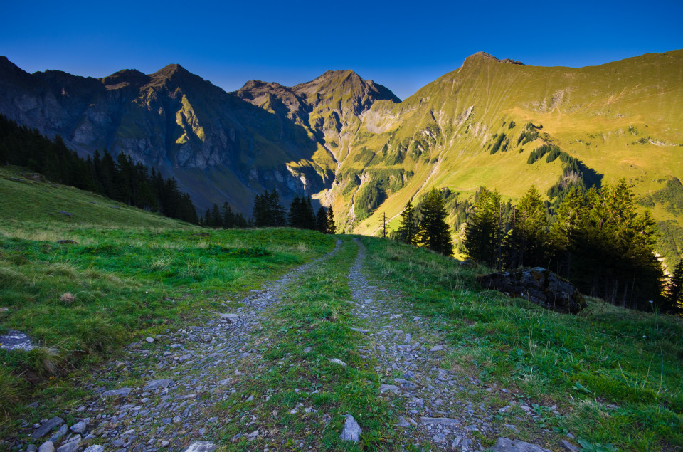 Weg von der Hohniesenalp ins Tal