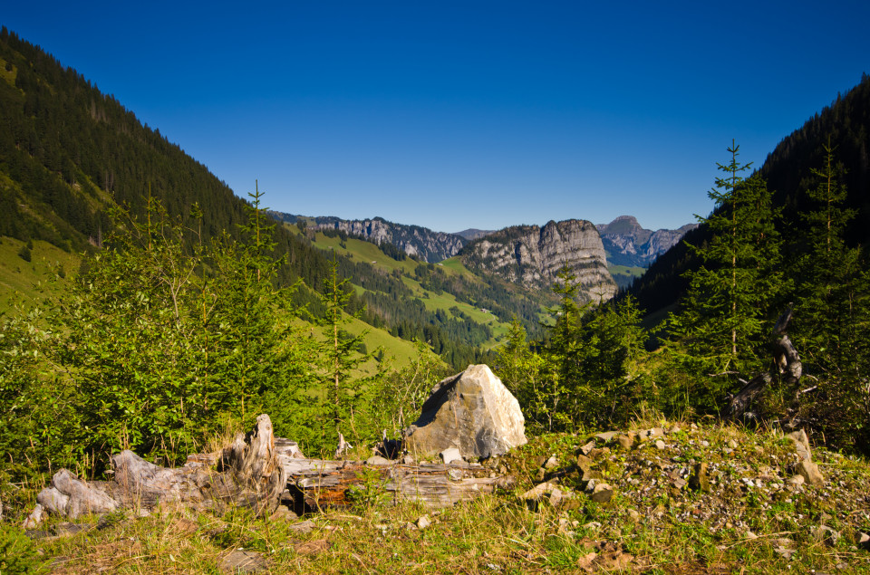 Blick ins Diemtigtal / Riedere