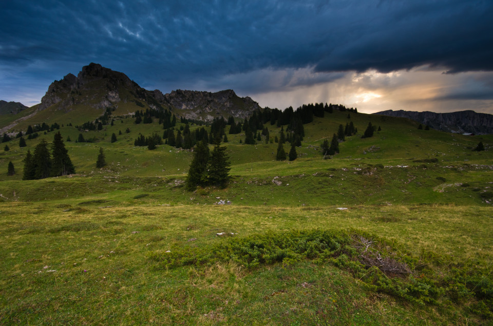 Auf dem Weg vom Seehorn zum Seebergsee