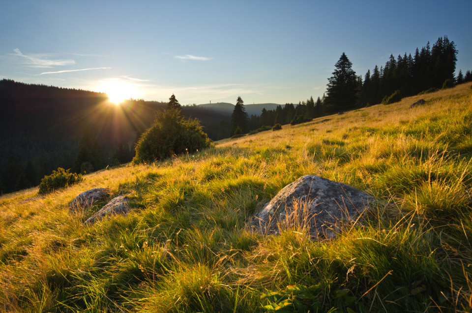 Am Drehkopf bei Neuglashütten