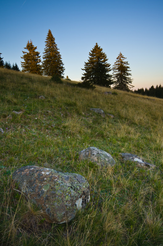 Am Drehkopf bei Neuglashütten