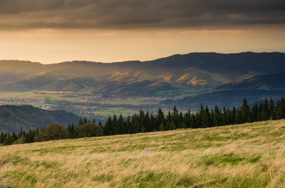 Blick vom Hinterwaldkopf über das Dreisamtal