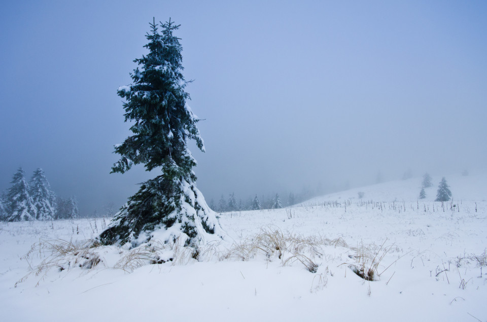 Wintereinbruch am Feldberg