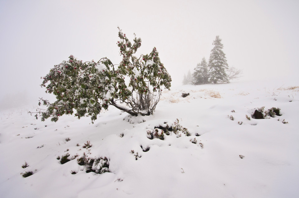 Wintereinbruch am Feldberg