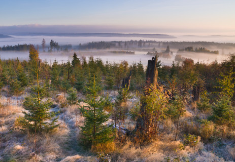 Herbstmorgen bei Lenzkirch-Grünwald