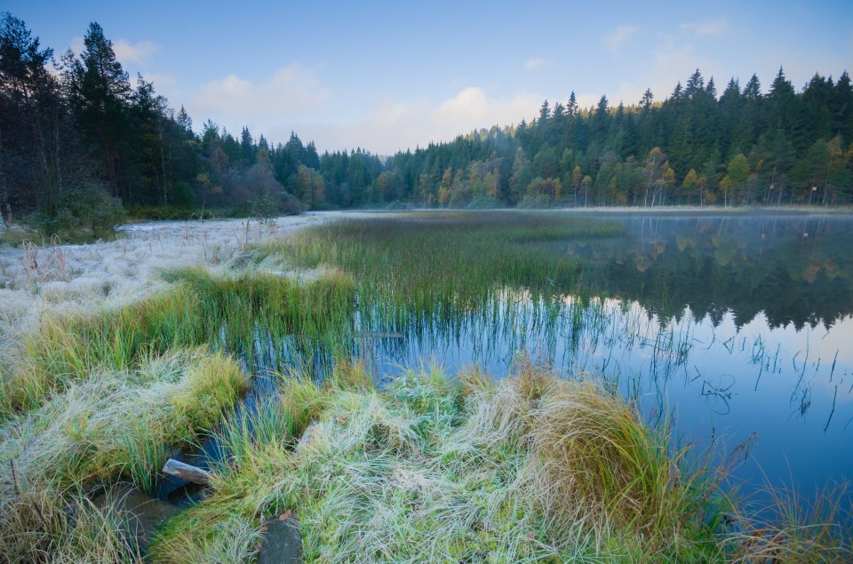 Windgfällweiher