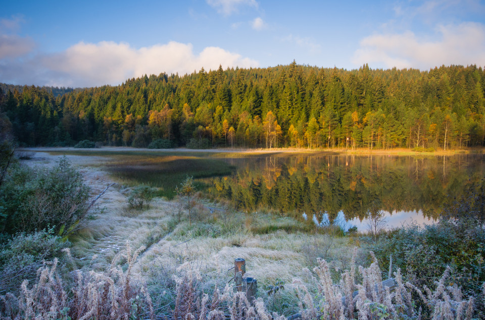 Windgfällweiher