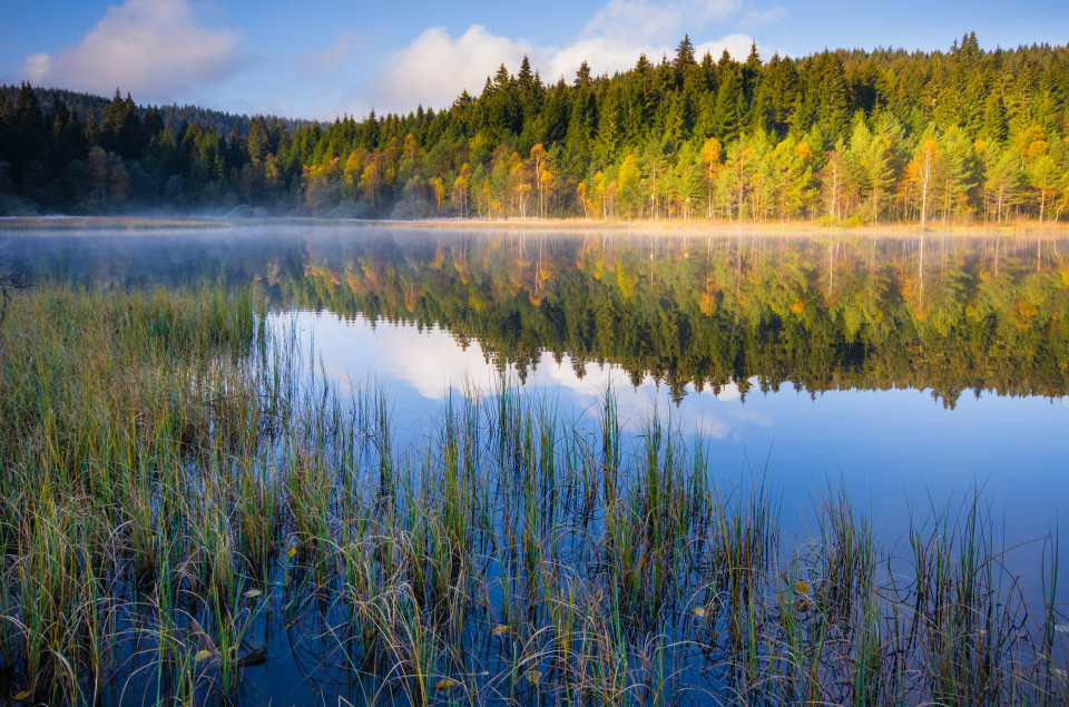 Windgfällweiher