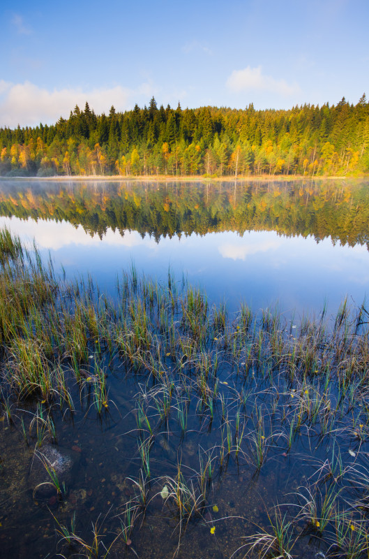 Windgfällweiher