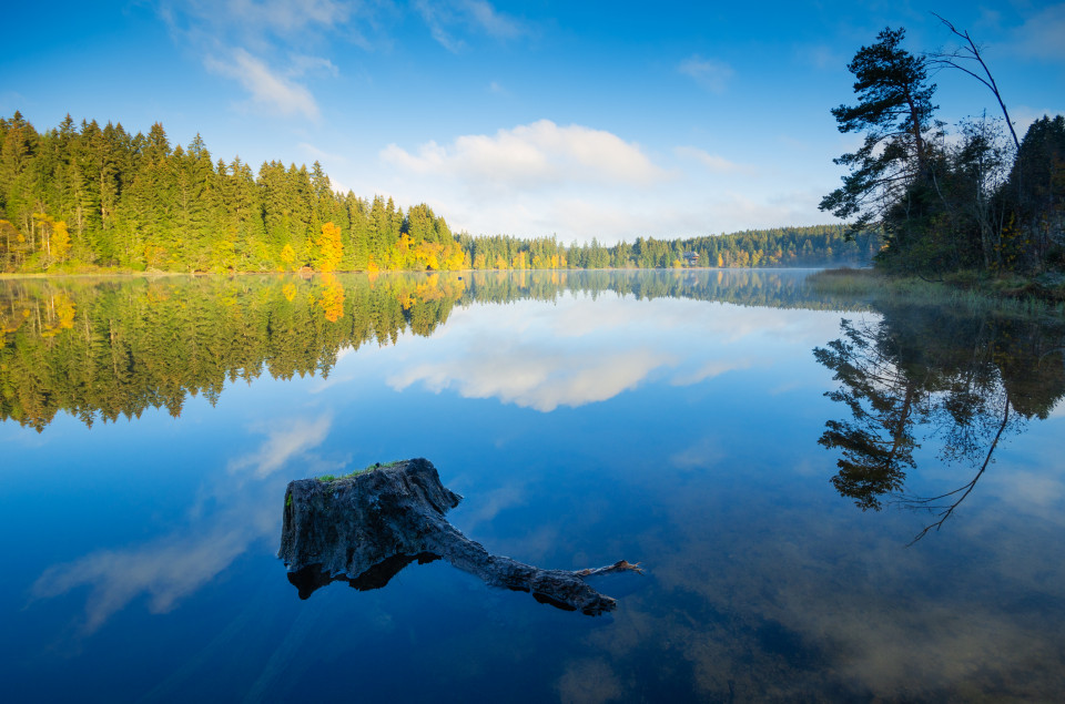 Windgfällweiher