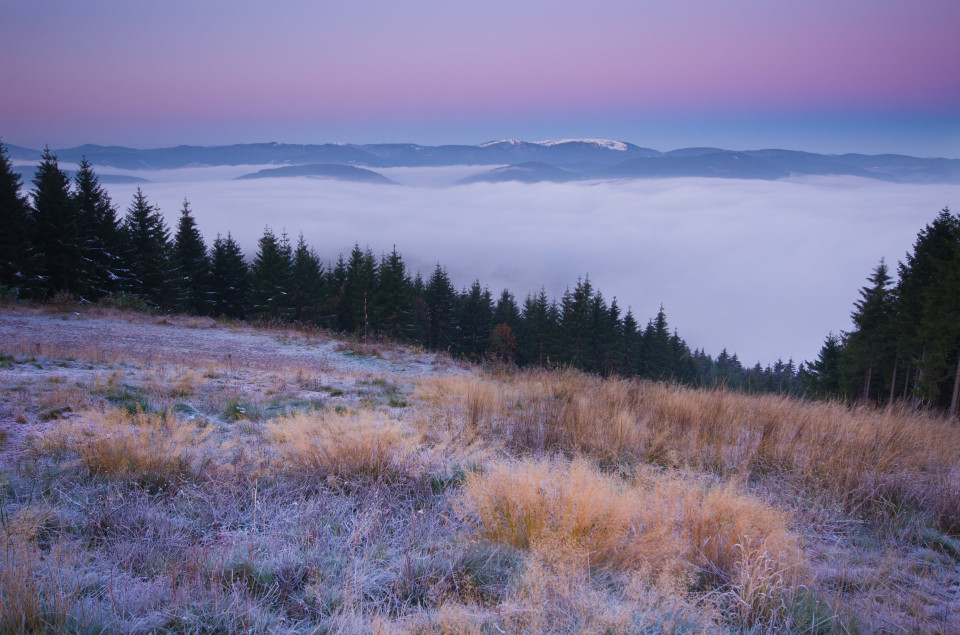 Kalter Herbstmorgen auf dem Hochfirst