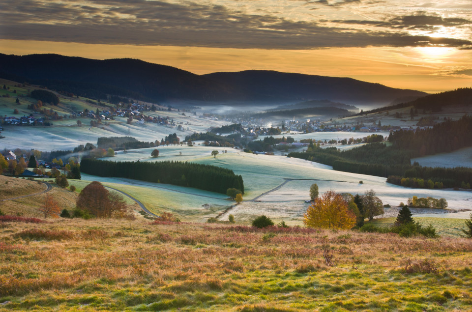 Morgenstimmung über Bernau