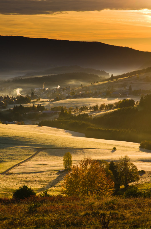 Morgenstimmung über Bernau
