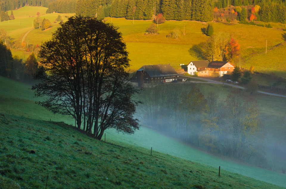 Herbstliches Schildwendetal