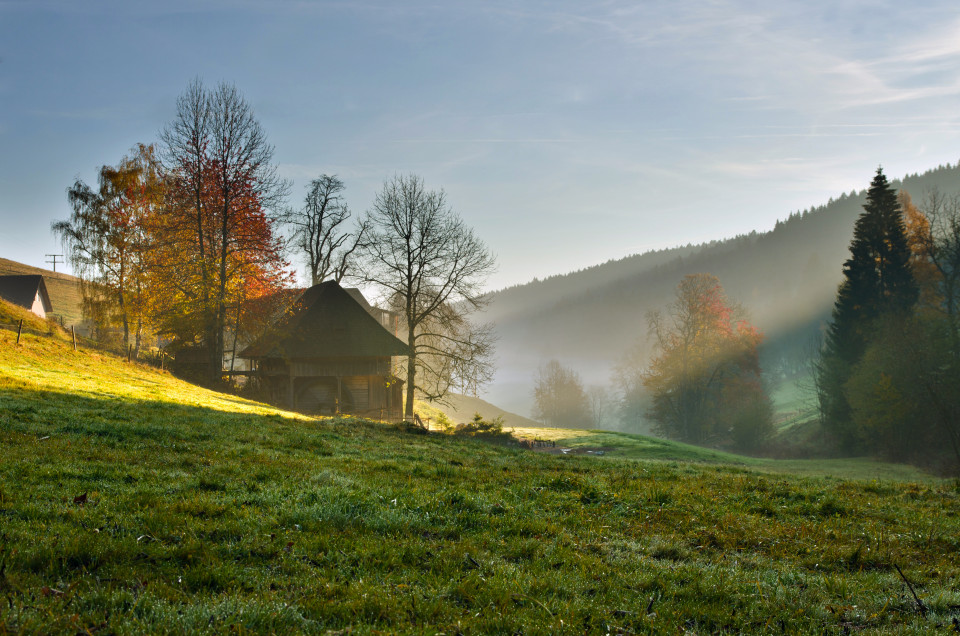 Herbstliches Schildwendetal