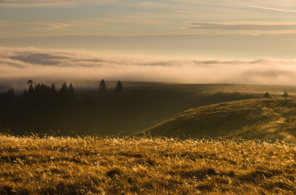 Feldberg über den Wolken