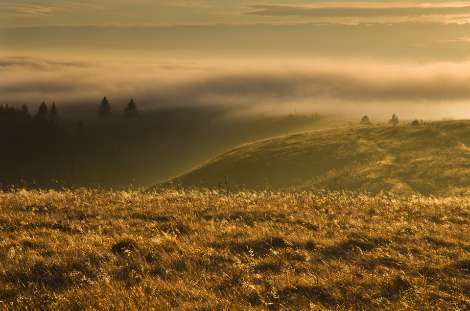 Feldberg über den Wolken