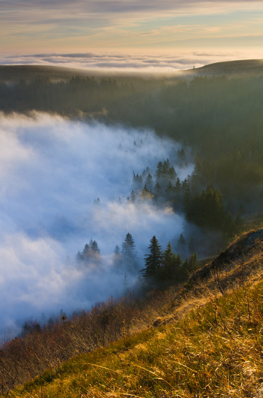 Feldberg über den Wolken