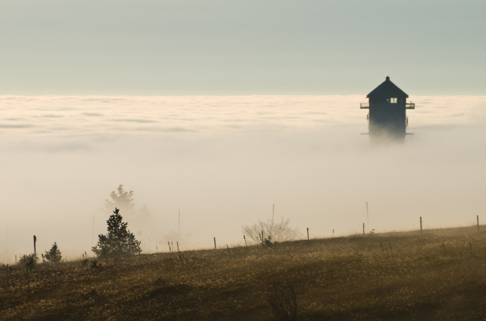 Feldberg über den Wolken