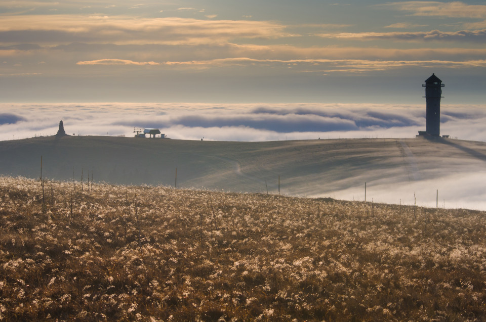 Feldberg über den Wolken