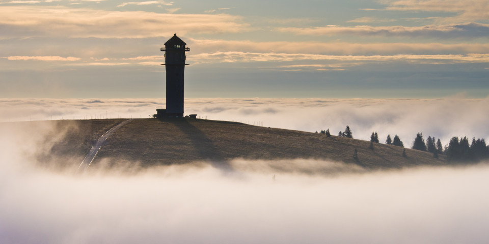 Feldberg über den Wolken