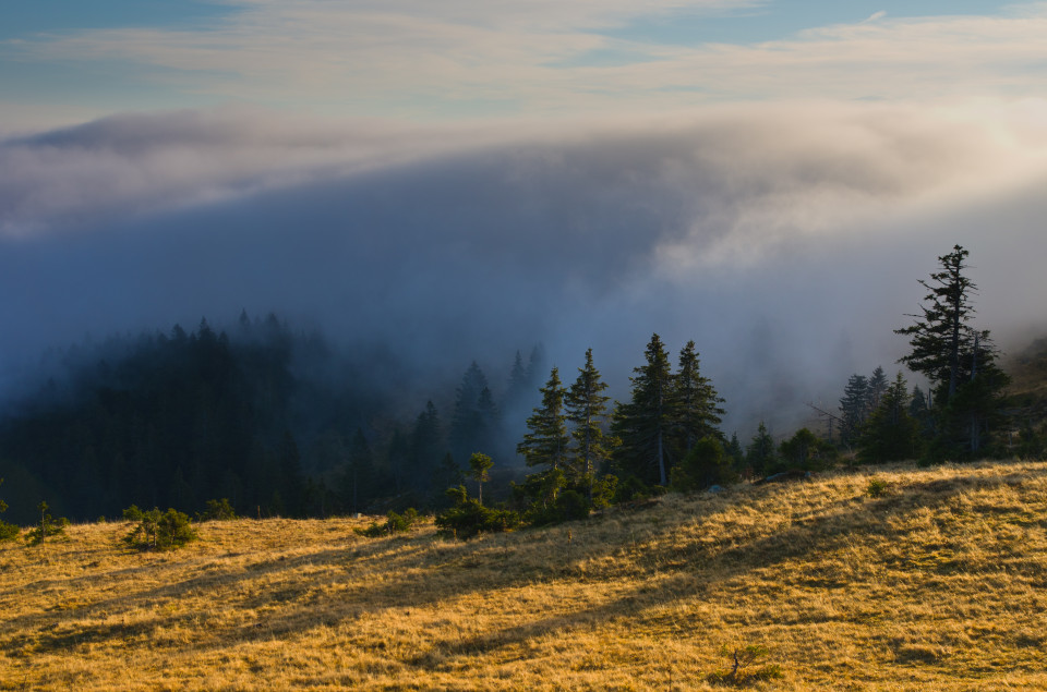 Feldberg über den Wolken
