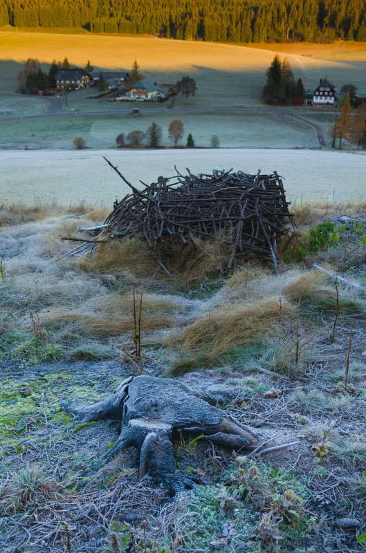 Herbstmorgen, Hinterschollach