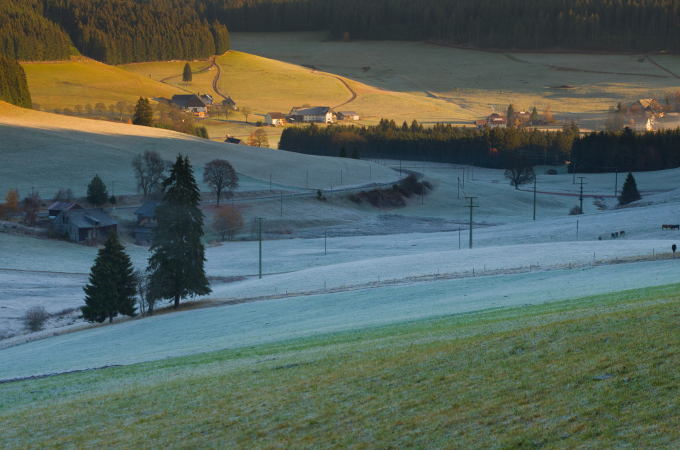 Herbstmorgen, Hinterschollach