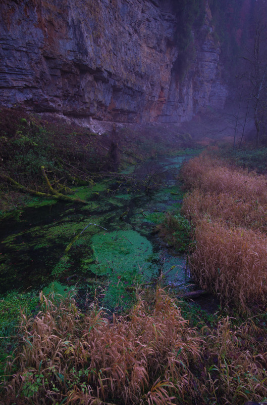 Dämmerung in der Wutachschlucht