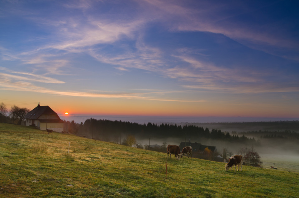 Morgenstimmung, Oberbränd