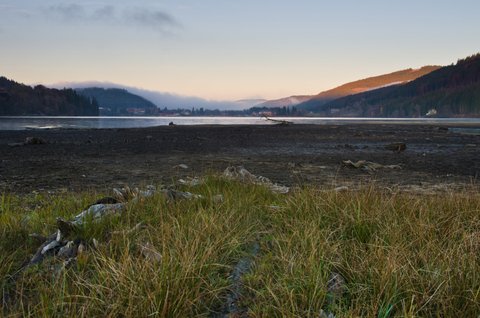 Niedrigwasser am Titisee