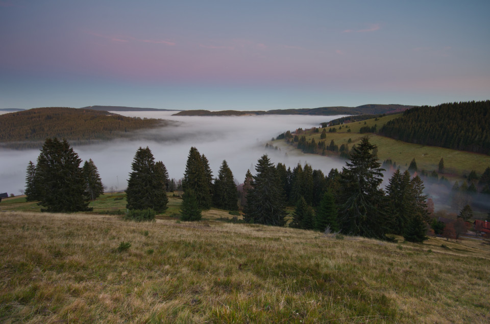 Dämmerung über dem Nebel bei Neuglashütten