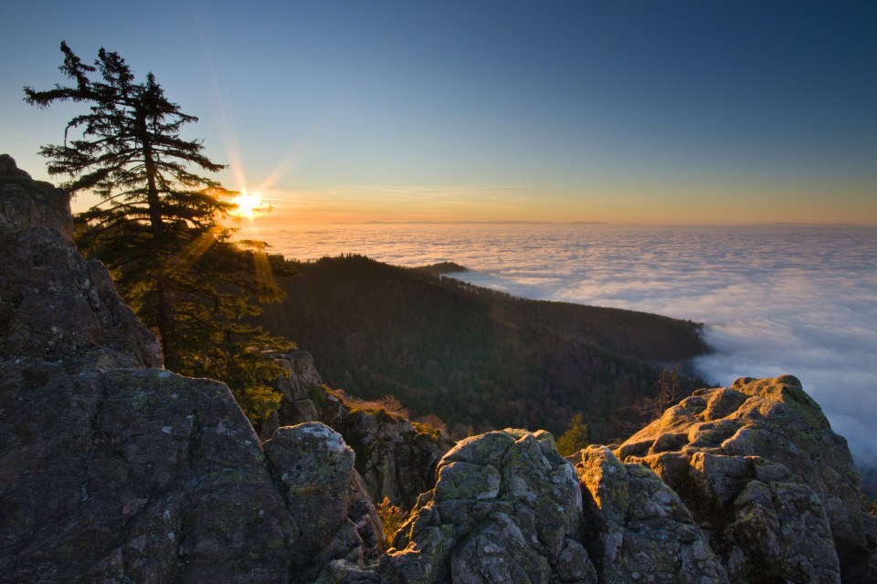 Inversionswetterlage am Kandel, Aussichtspunkt Großer Kandelfelsen