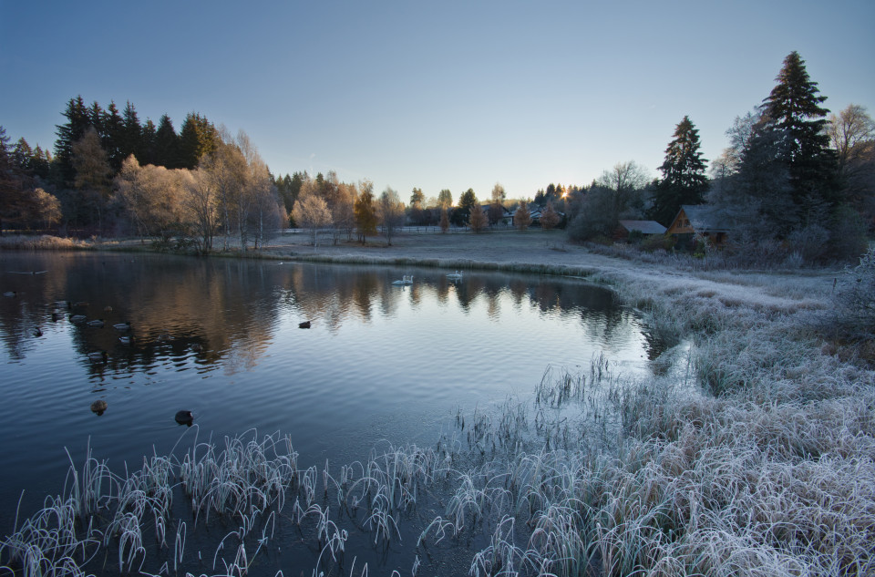 Kalter Spätherbstmorgen am Adlerweiher in Hinterzarten