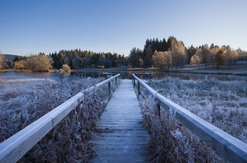 Kalter Spätherbstmorgen am Adlerweiher in Hinterzarten