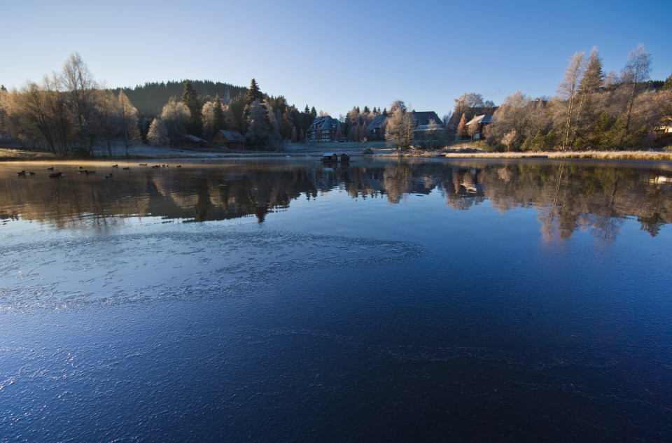 Kalter Spätherbstmorgen am Adlerweiher in Hinterzarten