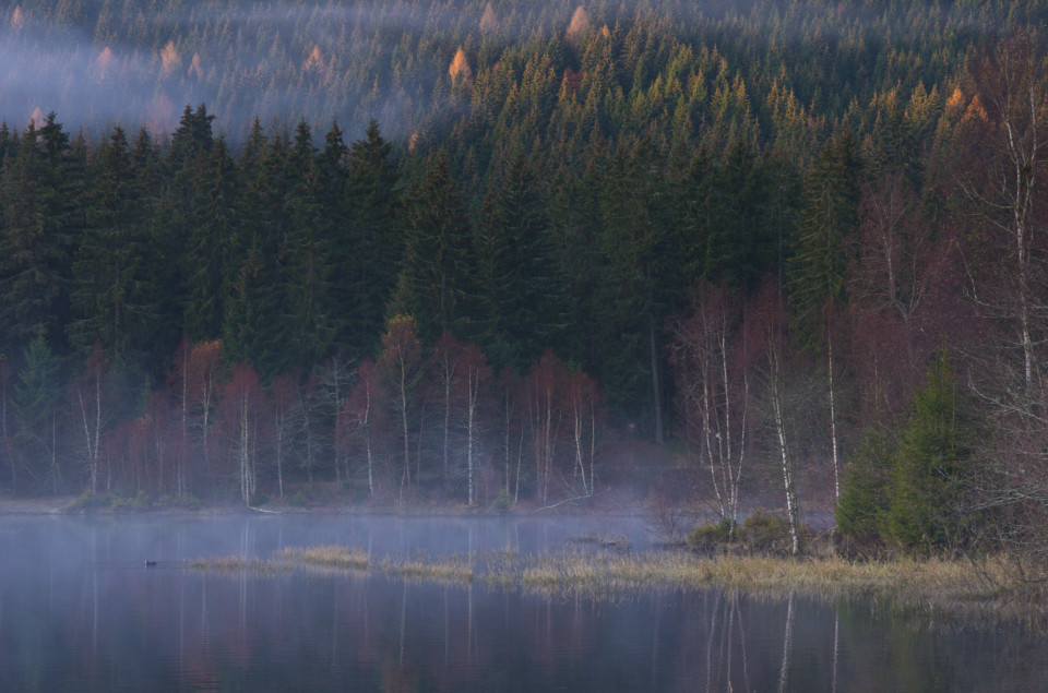 Herbstmorgen am Schluchsee