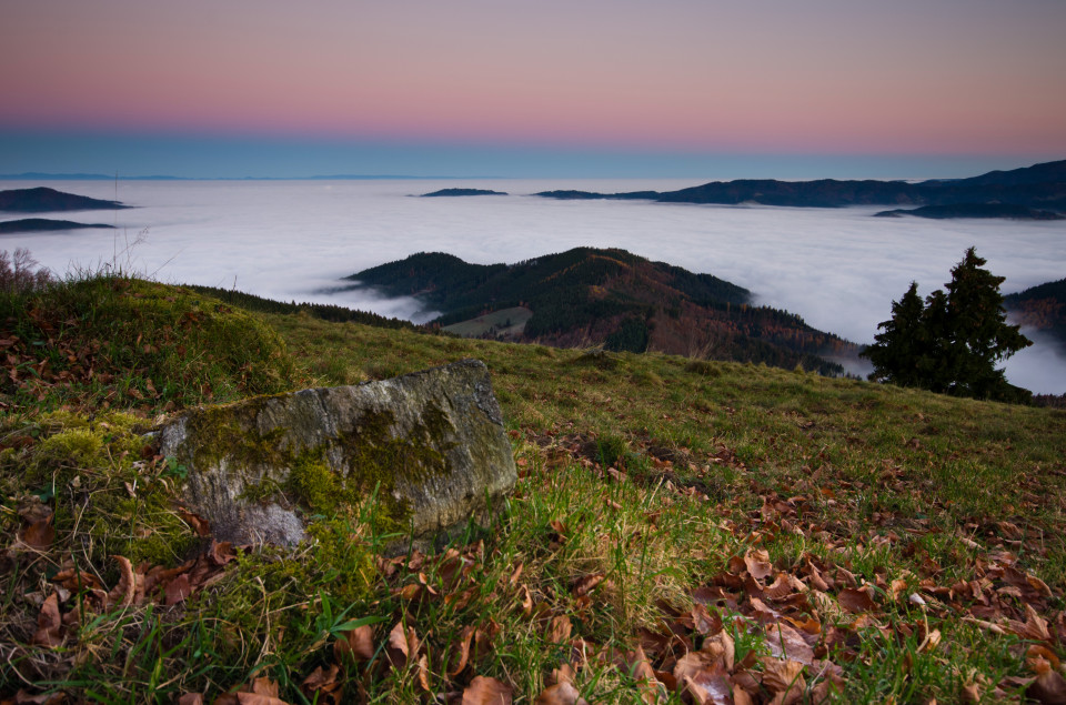 Morgens auf dem Häusleberg