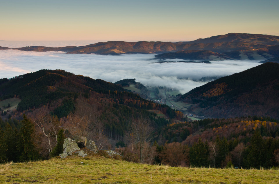 Morgens auf dem Häusleberg