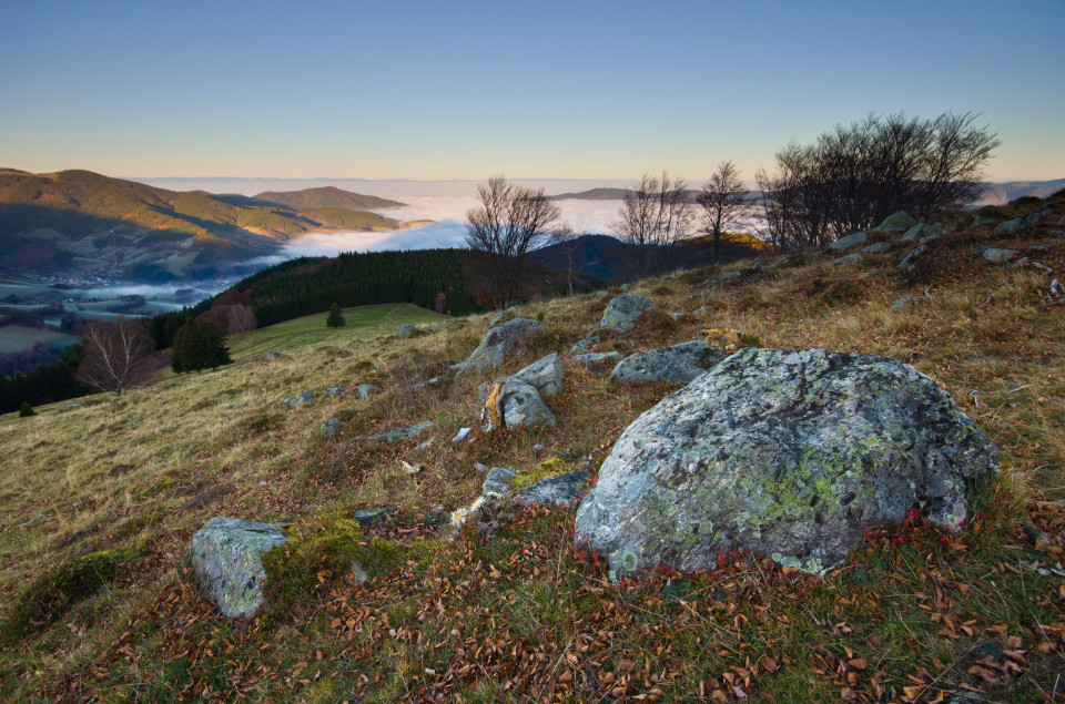 Morgens auf dem Häusleberg