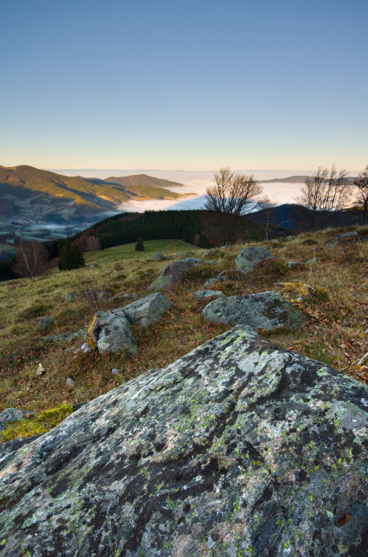 Morgens auf dem Häusleberg