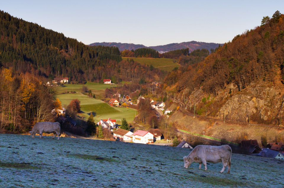 Falkensteig