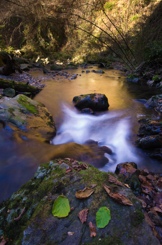 Ravennaschlucht im Spätherbst