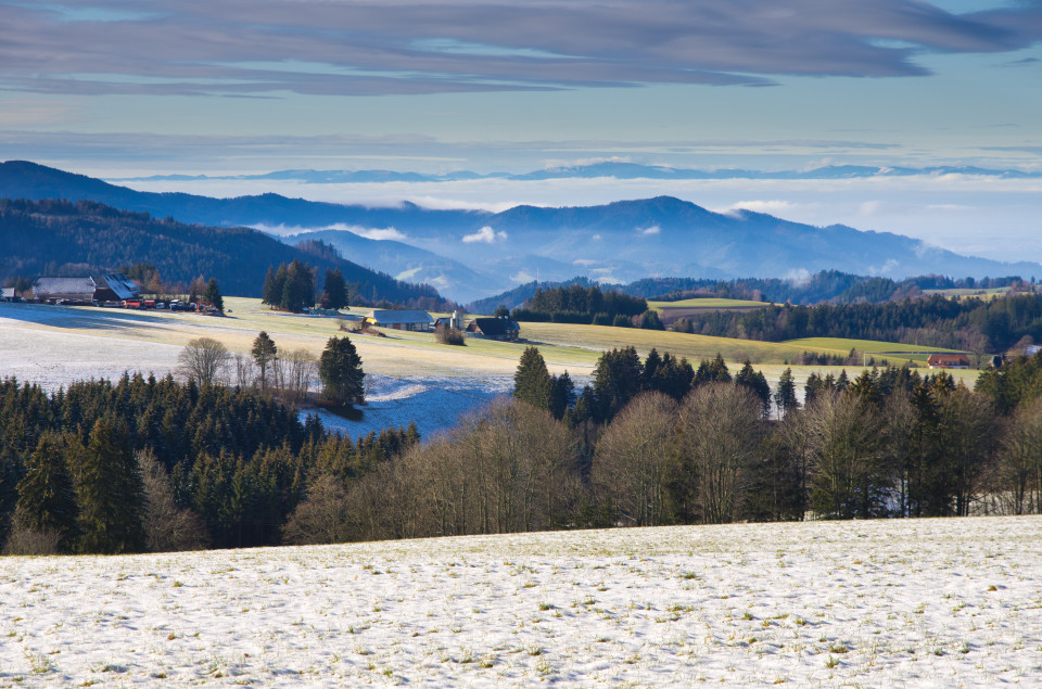 Zwischenhoch in einem milden Winter