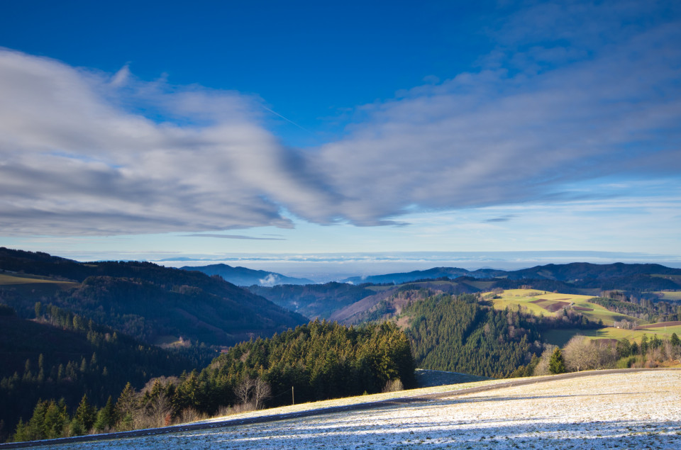 Zwischenhoch in einem milden Winter