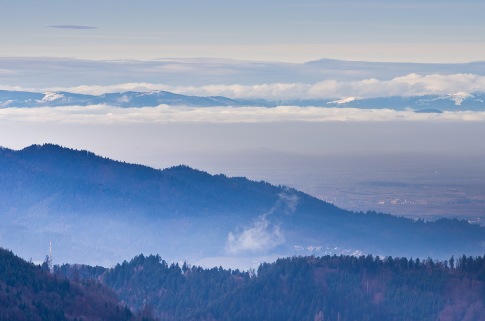 Zwischenhoch in einem milden Winter