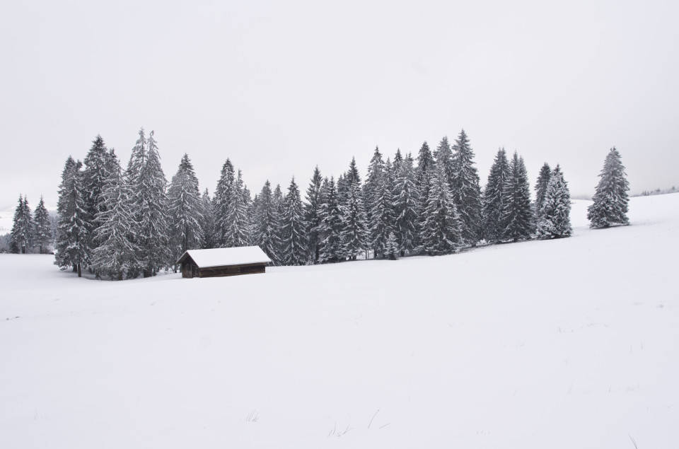 Winterlandschaft bei St. Märgen