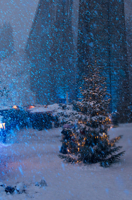 Weihnachtsmarkt in der Ravennaschlucht