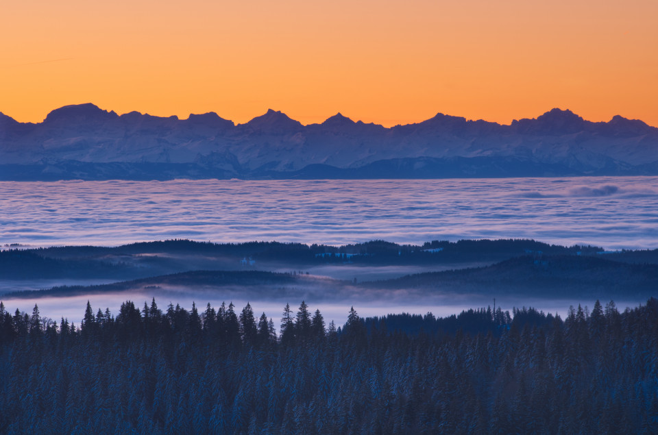 Wintermorgen auf dem Feldberg